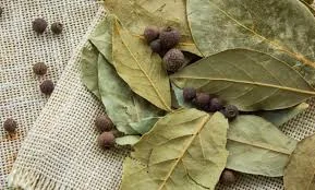 فوائد ورق الغار لصحة الجسم