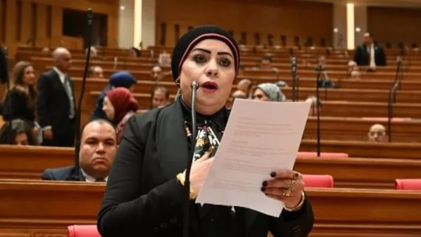 الدبلوماسية المصرية ودورها في استقرار المنطقة