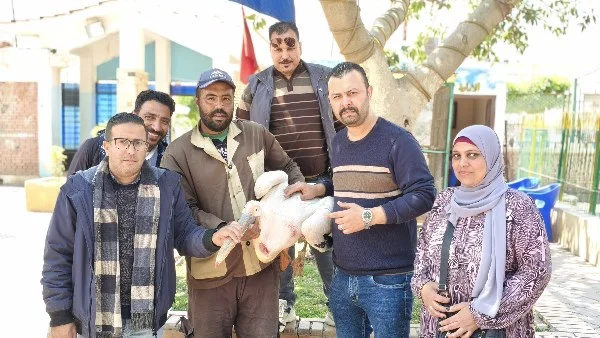 ضبط بجعة في محل لبيع الأسماك بطنطا
