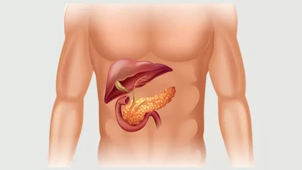 ما هو قصور البنكرياس الخارجي؟