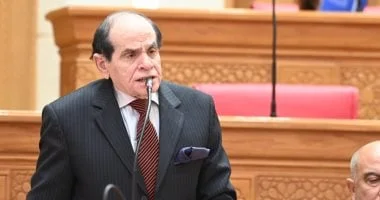 الدور المصري البارز في تهدئة النزاعات الإقليمية