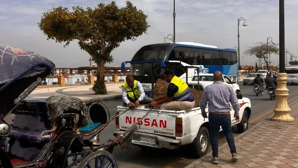حملة لضبط عربات الحنطور المخالفة بالأقصر