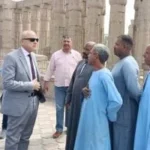 حملات تفتيش على عربات الحنطور في الأقصر