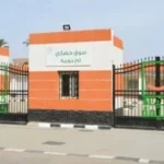 أم دومة: نموذج للتنمية الشاملة في الريف المصري