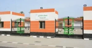 أم دومة: نموذج للتنمية الشاملة في الريف المصري