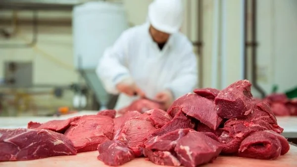 إجراءات الحكومة لتأمين اللحوم قبل عيد الأضحى