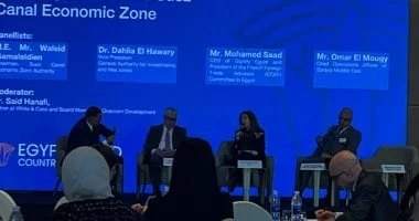 تعاون استراتيجي بين منظمة التعاون الاقتصادي ومصر