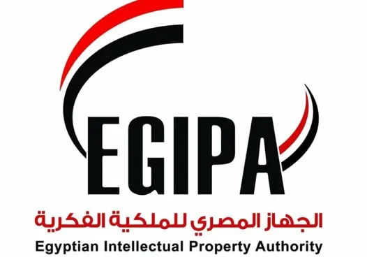 تعزيز الابتكار في مصر عبر حوار رفيع المستوى