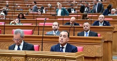 أمن الخليج جزء لا يتجزأ من الأمن القومي المصري