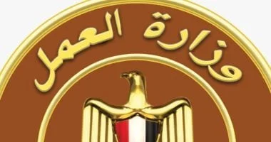 فرص عمل جديدة للشباب في الأقصر