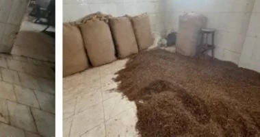 ضبط 15 طن معسل فاسد في مصنع غير مرخص بالدقهلية
