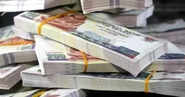 مداهمة 15 شركة سياحية وهمية في حملة للداخلية