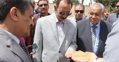 حصاد القمح في سوهاج: استلام 8431 طنًا حتى الآن