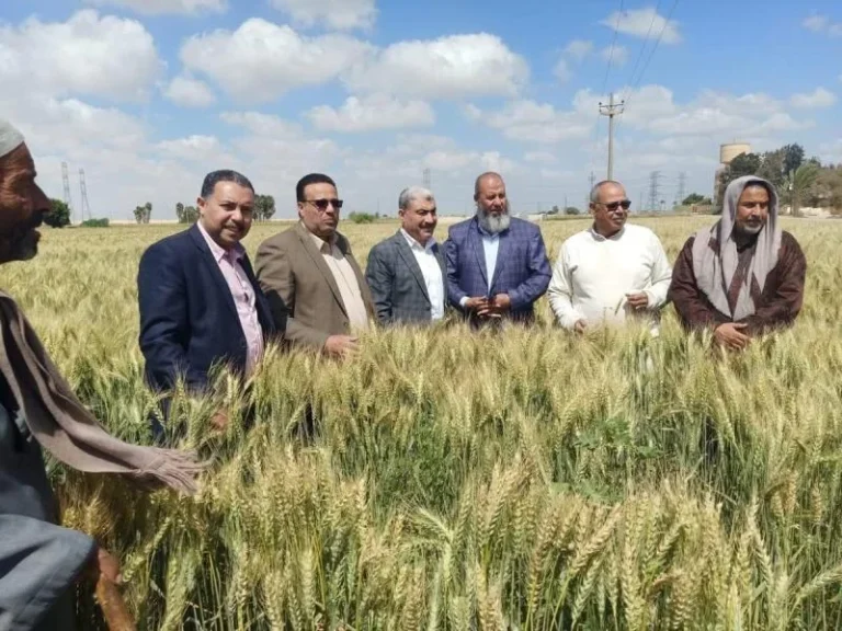 جهود وزارة الزراعة لتحسين استصلاح الأراضي