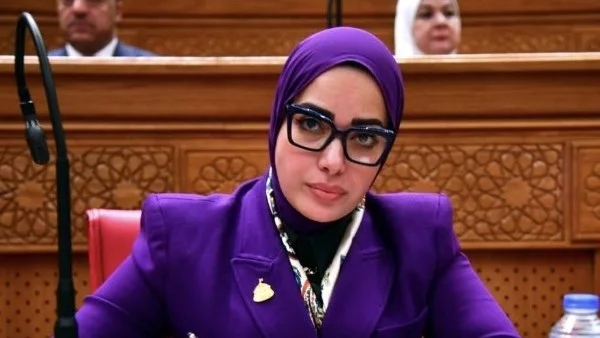 تغليظ العقوبات على المزورين في قانون حماية الملكية الفكرية