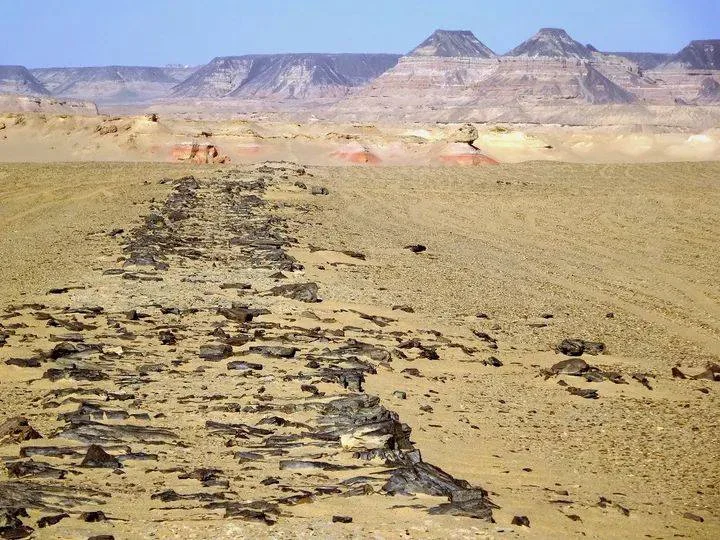 أقدم طريق سريع في العالم: ودان الفرس في الفيوم