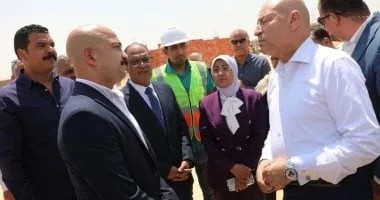إنشاء أول شلتر حكومي لإيواء الكلاب الضالة بالتبين