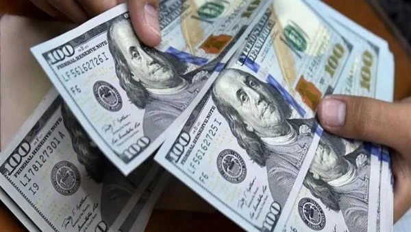 استقرار سعر الدولار في مصر اليوم الأربعاء
