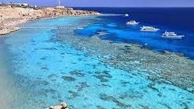 تجربة سياحية فريدة في مرسى علم بطعم مصر الأصيل