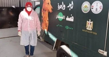 حملات جمع الكلاب في بورسعيد لتعزيز السلامة العامة