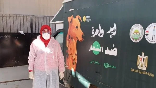حملات مكثفة للتعامل مع الكلاب الضالة في بورسعيد