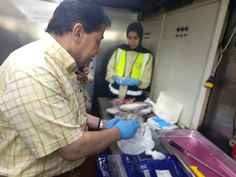 تعزيز الرقابة على المنشآت الغذائية بالأقصر