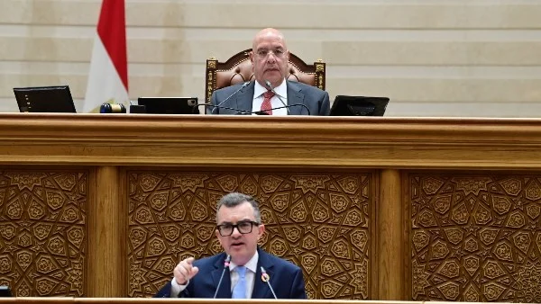 وزير التخطيط يستعرض خطة التنمية الاقتصادية والاجتماعية