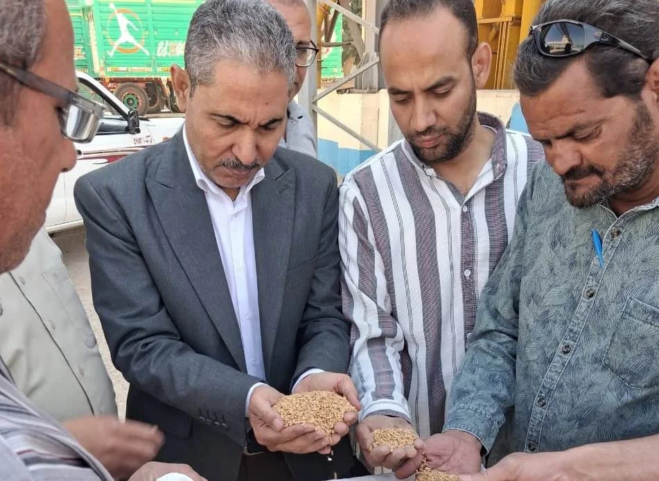 توريد 7191 طن قمح في أسيوط ودعم المزارعين
