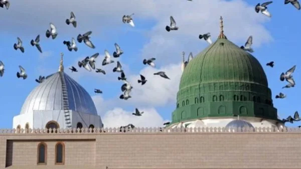 رؤية النبي في المنام: كيف تحقق حلمك؟