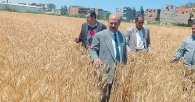تفقد مراكز تجميع القمح في دمياط استعداداً لموسم الحصاد