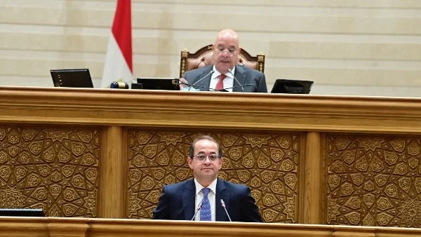 80 مليار جنيه لدعم الإنتاج وريادة الأعمال بموازنة 2026/2027
