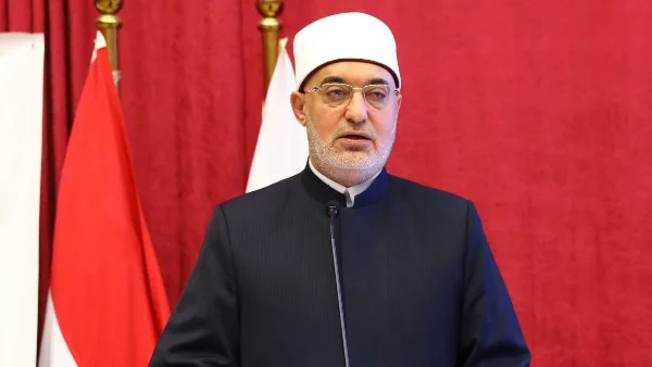 جهود المؤسسات الدينية المصرية في ترسيخ الوسطية