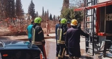 فيديو يرصد محاولة إمساك القرد الهارب في المنوفية