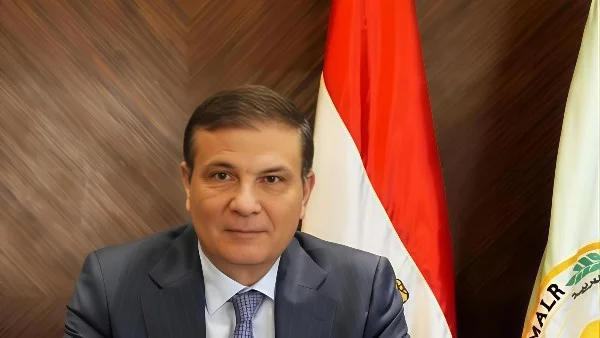 إنقاذ مزارعي سيناء بعد السيول