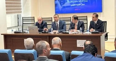 تطوير الصندوق السيادي واستحداث صناديق فرعية