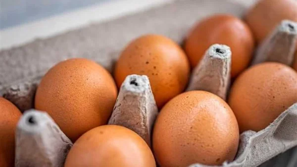 استقرار أسعار البيض في السوق المصرية