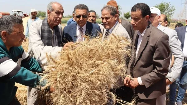 محافظ القليوبية يتفقد حصاد القمح ويؤكد دعم المزارعين