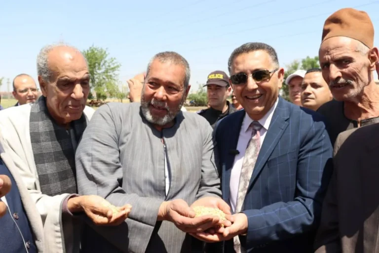 محافظ القليوبية يتفقد حصاد القمح في قها