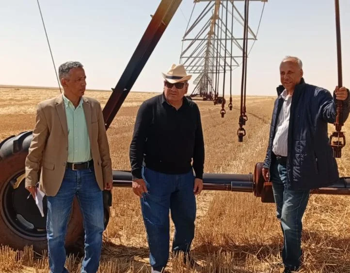 افتتاح حصاد المحاصيل الاستراتيجية في الوادي الجديد