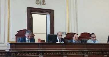إحالة عامل للمفتي بتهمة الاعتداء على ابنة شقيقته