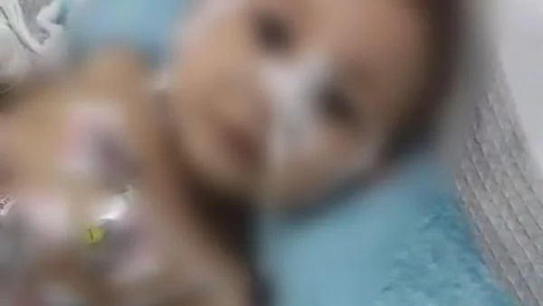 تفاصيل صادمة حول جريمة قتل رضيع في الصف