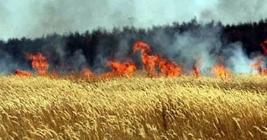 السيطرة على حرائق في حقول القمح بسوهاج