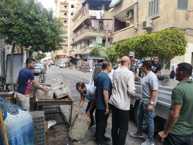 حملة ليلية لضبط التلوث السمعي في شرق المنصورة