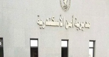 ضبط قاتل جاره في العجمي بالإسكندرية