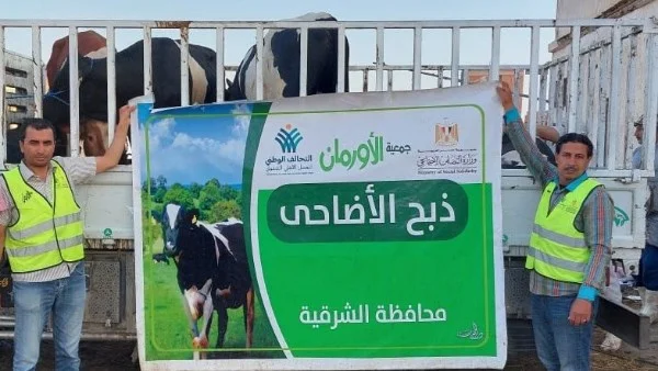 خطة توزيع الأضاحي على الأسر الأولى بالرعاية في الشرقية