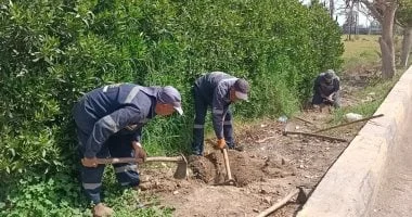 مشاريع تنموية في كفر الشيخ تعزز البيئة والبنية التحتية