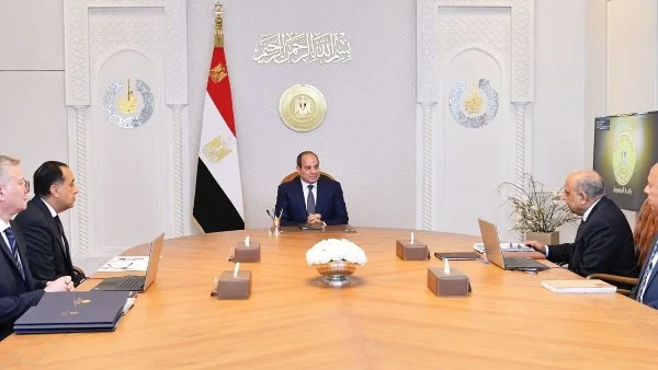 السيسي يدعو لتوسيع مشروعات الطاقة الجديدة والمتجددة