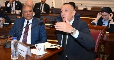مصر تعزز الاستقرار الإقليمي من خلال التهدئة
