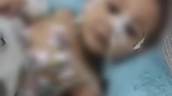 مأساة العائلة في الصف: جريمة هزّت القرية