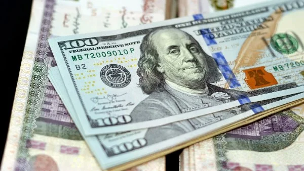 أسعار الدولار اليوم: استقرار ملحوظ في السوق الرسمية
